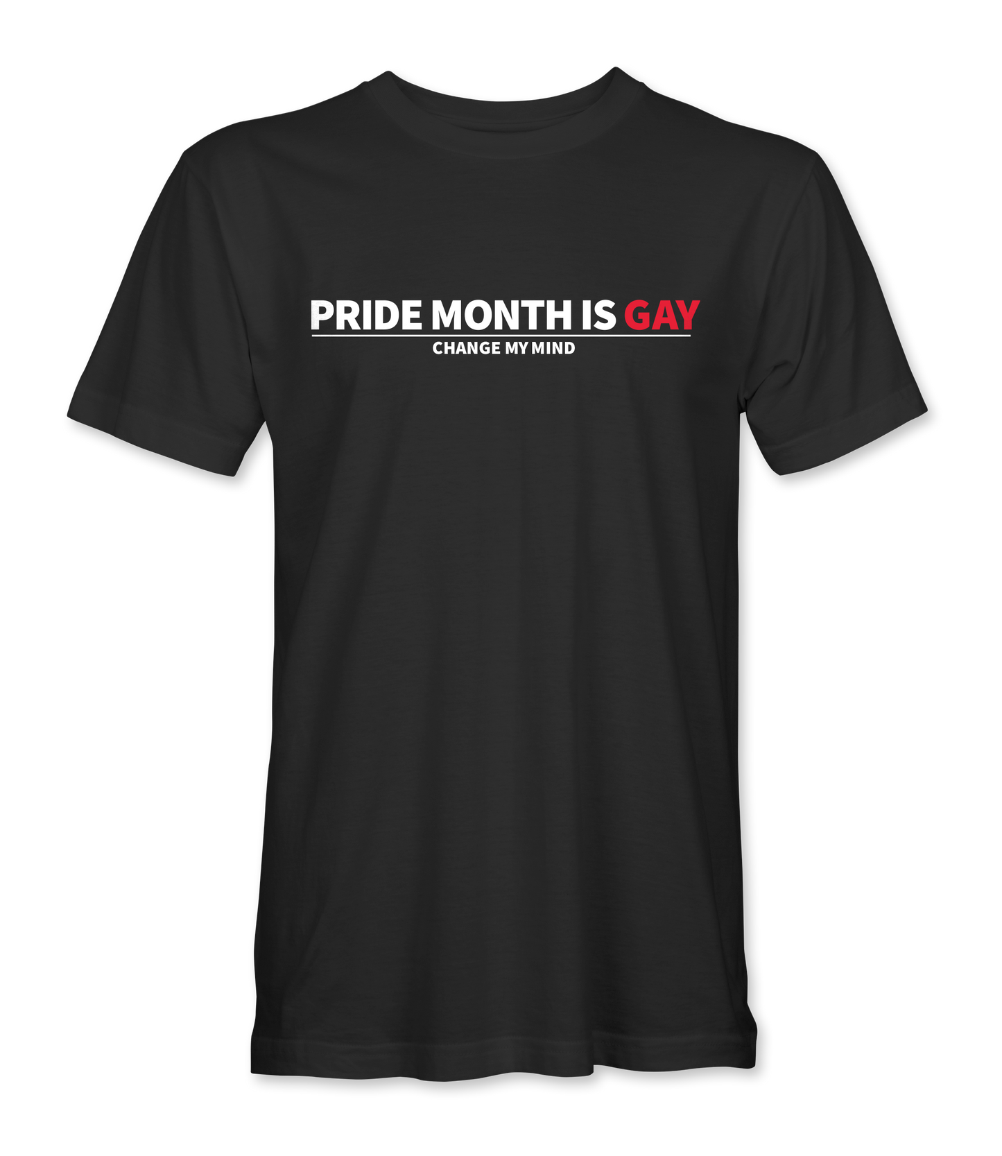 Pride Month Is Gay T-Shirt