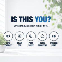 Foundation Daily + Creatine Bundle