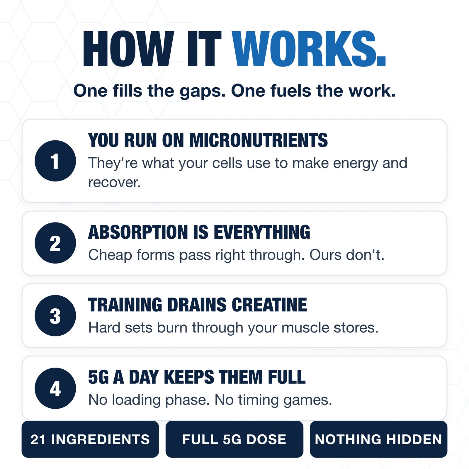 Foundation Daily + Creatine Bundle