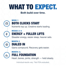 Foundation Daily + Creatine Bundle