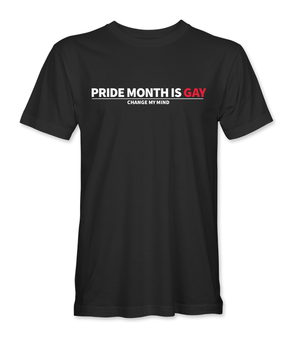 Pride Month Is Gay T-Shirt