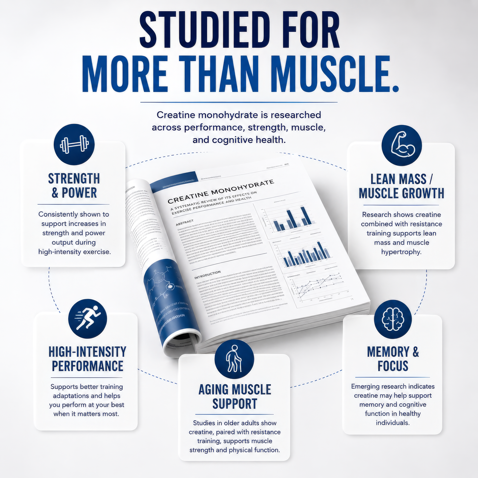 Foundation Micronized Creatine