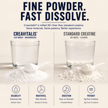 Foundation Micronized Creatine