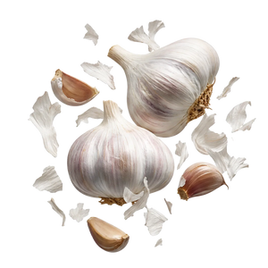Garlic Extract