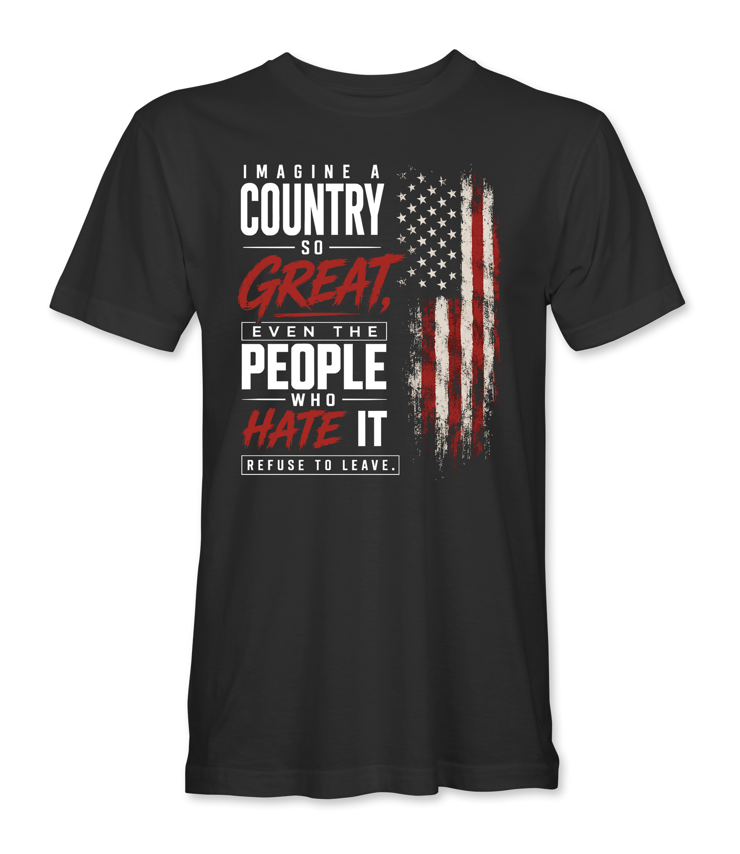 Imagine A Country So Great T-Shirt front
