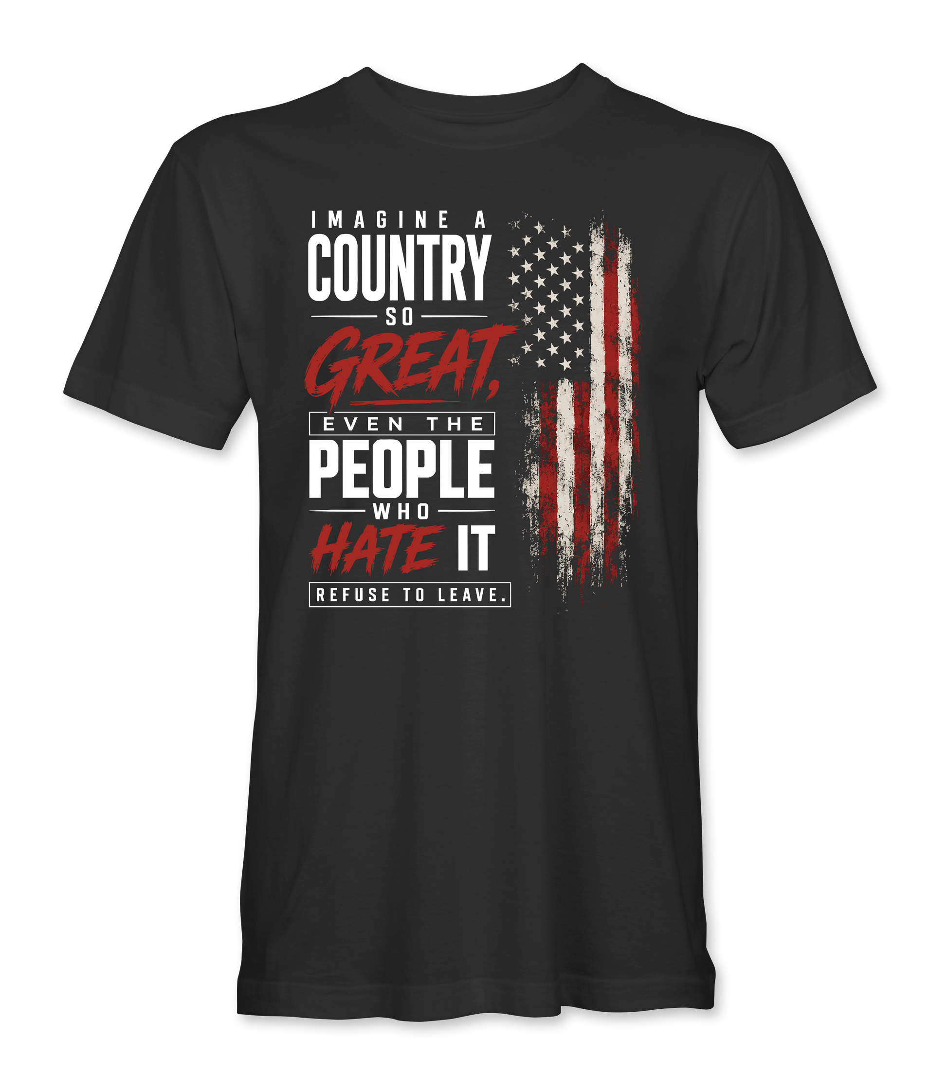 Imagine A Country So Great T-Shirt front