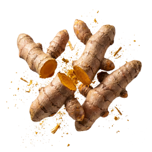 Turmeric Extract